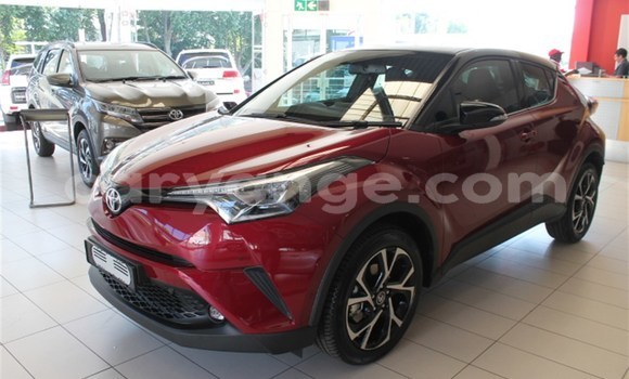 Buy Used Toyota C-HR Red Car in Karasburg in Karas Buy Used Toyota C-HR Red Car in Karasburg in Karas
