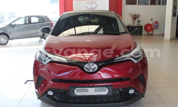 Buy Used Toyota C-HR Red Car in Karasburg in Karas Buy Used Toyota C-HR Red Car in Karasburg in Karas