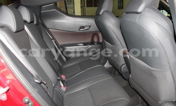 Buy Used Toyota C-HR Red Car in Karasburg in Karas Buy Used Toyota C-HR Red Car in Karasburg in Karas