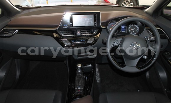 Buy Used Toyota C-HR Red Car in Karasburg in Karas Buy Used Toyota C-HR Red Car in Karasburg in Karas