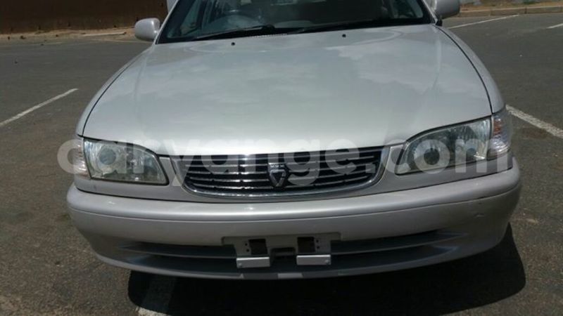 Big with watermark 17342716 136784040180539 8536093246308183350 n