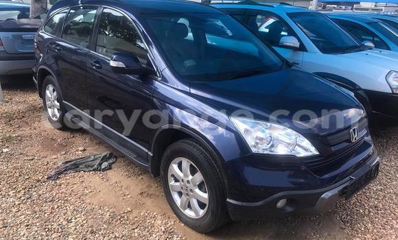 Buy Used Honda CR–V Black Car in Windhoek in Namibia Buy Used Honda CR–V Black Car in Windhoek in Namibia