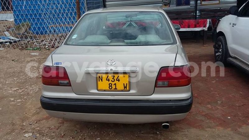 Big with watermark 17191162 1262958793790421 3182052266368934448 n