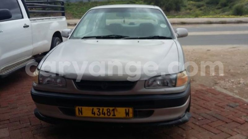 Big with watermark 17342716 136784040180539 8536093246308183350 n