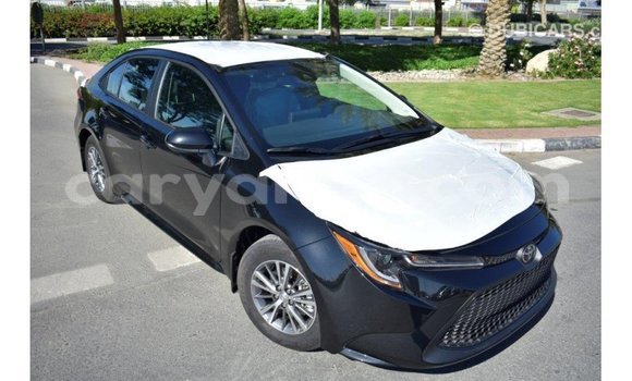 Buy Import Toyota Corolla Black Car in Import - Dubai in Namibia Buy Import Toyota Corolla Black Car in Import - Dubai in Namibia