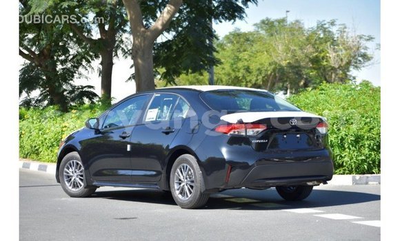 Buy Import Toyota Corolla Black Car in Import - Dubai in Namibia Buy Import Toyota Corolla Black Car in Import - Dubai in Namibia