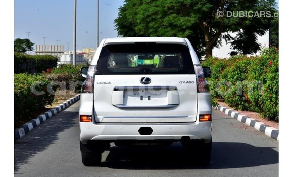 Buy Import Lexus GX White Car in Import - Dubai in Namibia Buy Import Lexus GX White Car in Import - Dubai in Namibia