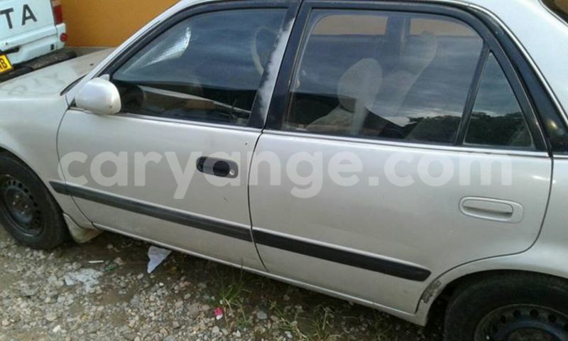 Big with watermark 17191162 1262958793790421 3182052266368934448 n