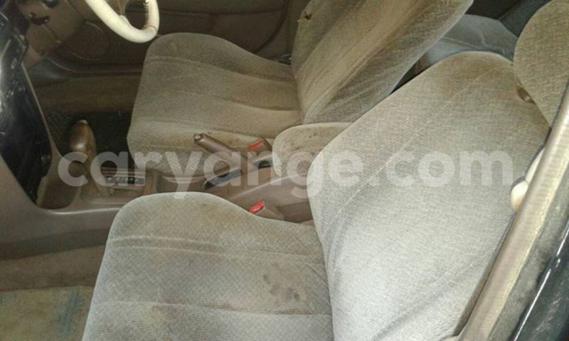 Big with watermark 17361815 1480818941963102 6314346449010111322 n