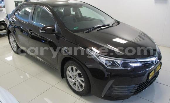 Buy Used Toyota Corolla Black Car in Gobabis in Omaheke Buy Used Toyota Corolla Black Car in Gobabis in Omaheke