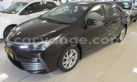 Buy Used Toyota Corolla Black Car in Gobabis in Omaheke Buy Used Toyota Corolla Black Car in Gobabis in Omaheke