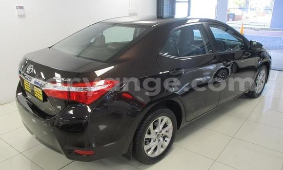 Buy Used Toyota Corolla Black Car in Gobabis in Omaheke Buy Used Toyota Corolla Black Car in Gobabis in Omaheke