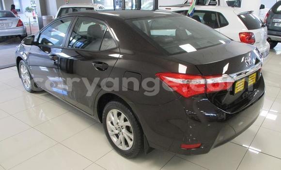 Buy Used Toyota Corolla Black Car in Gobabis in Omaheke Buy Used Toyota Corolla Black Car in Gobabis in Omaheke