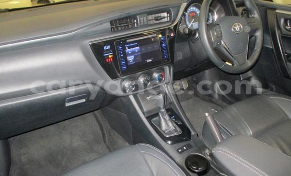 Buy Used Toyota Corolla Black Car in Gobabis in Omaheke Buy Used Toyota Corolla Black Car in Gobabis in Omaheke