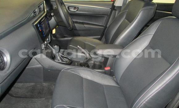 Buy Used Toyota Corolla Black Car in Gobabis in Omaheke Buy Used Toyota Corolla Black Car in Gobabis in Omaheke