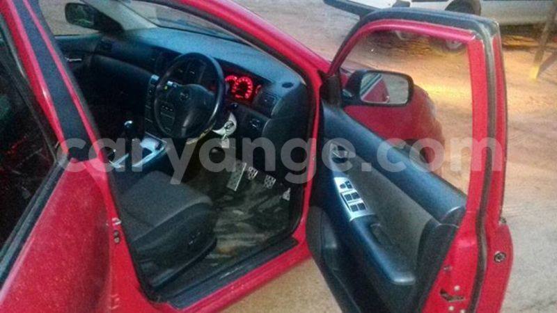 Big with watermark 17361815 1480818941963102 6314346449010111322 n