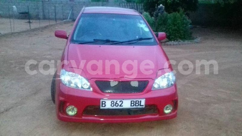 Big with watermark 17342716 136784040180539 8536093246308183350 n