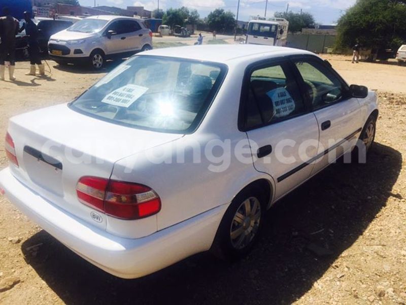 Big with watermark 17361815 1480818941963102 6314346449010111322 n