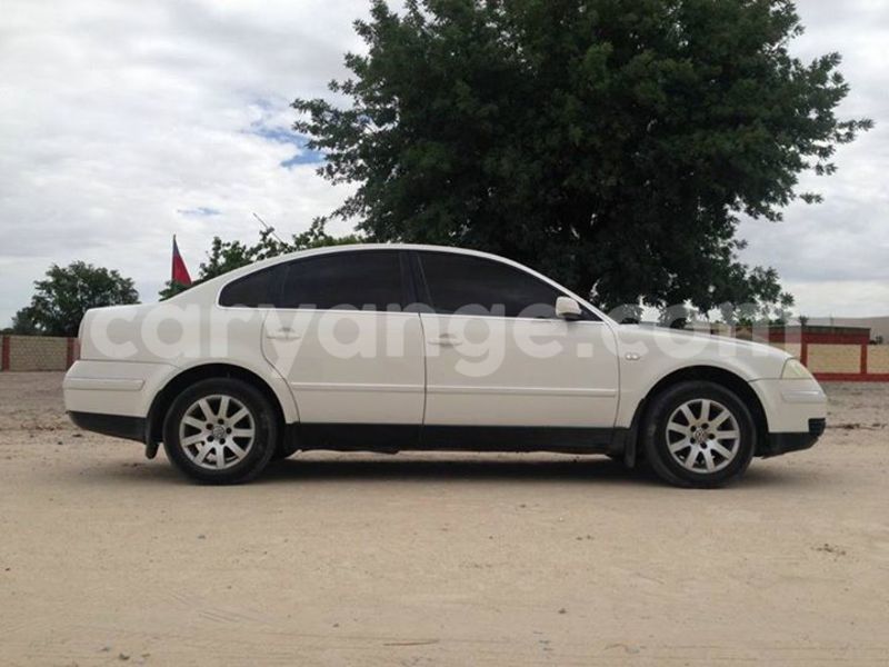 Big with watermark 17342716 136784040180539 8536093246308183350 n