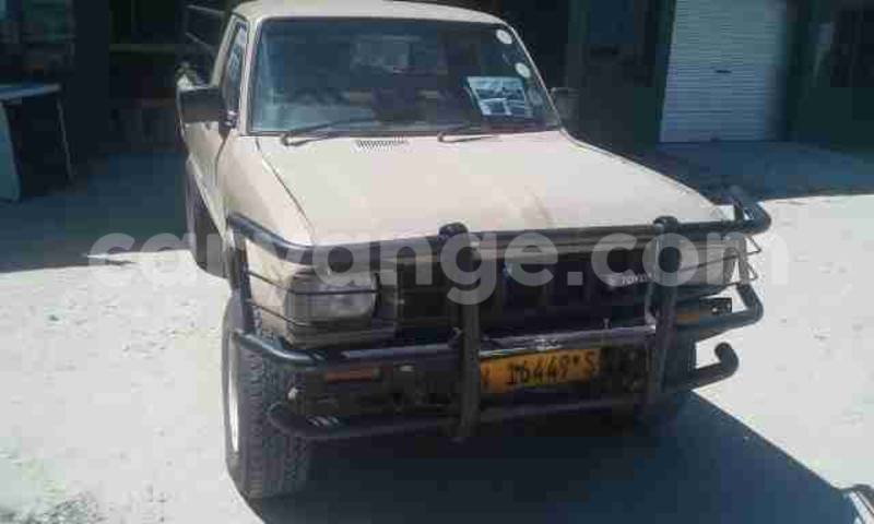 Big with watermark 17342716 136784040180539 8536093246308183350 n