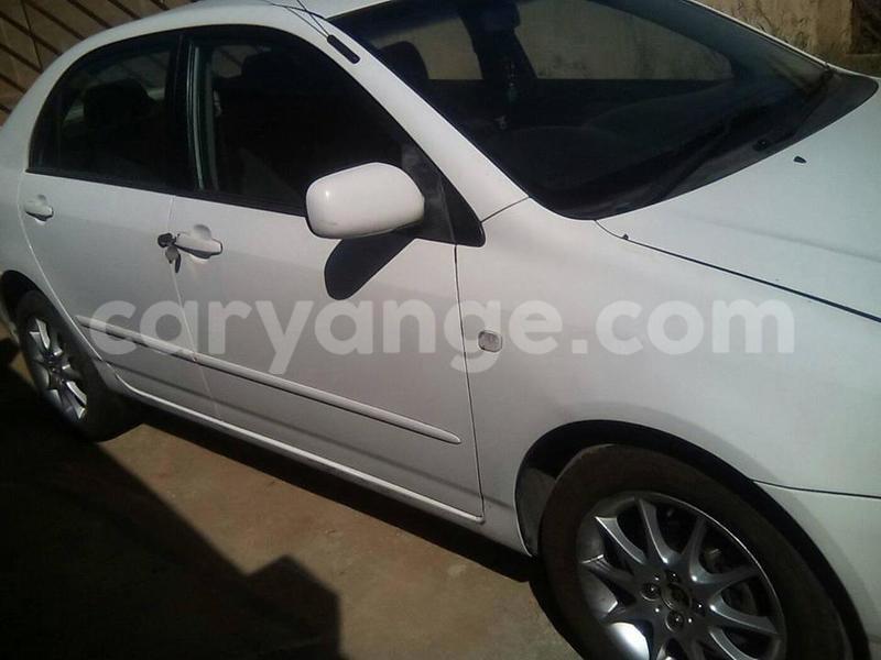 Big with watermark 17362468 1477189875689466 5699783990963171139 n