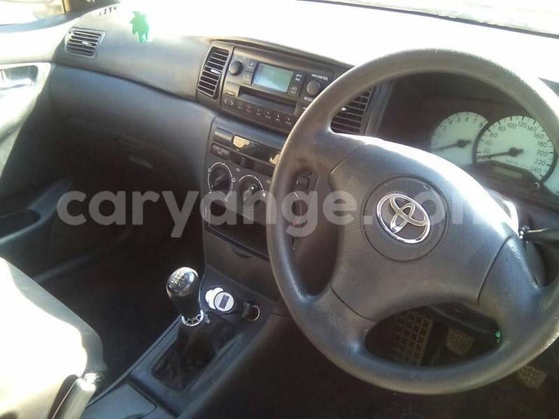 Big with watermark 17522987 992682574198213 3430188652153496677 n