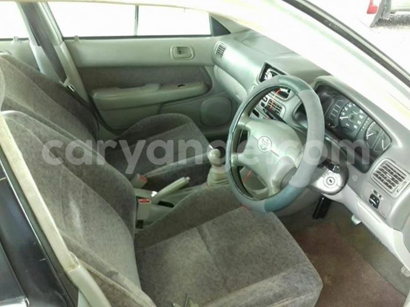 Big with watermark 17362468 1477189875689466 5699783990963171139 n