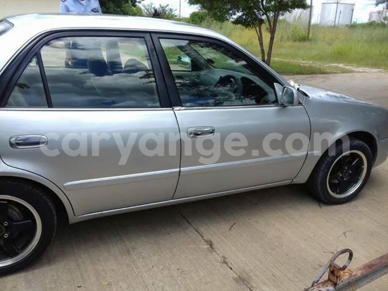 Big with watermark 17342716 136784040180539 8536093246308183350 n