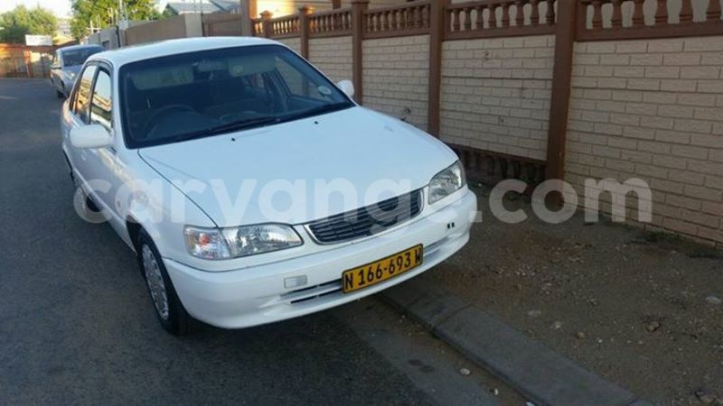 Big with watermark 17362468 1477189875689466 5699783990963171139 n