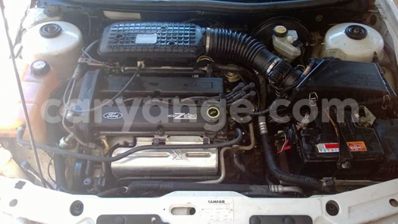 Big with watermark 17795701 10206966928850318 4670280897170890025 n