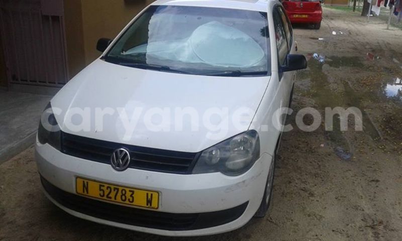 Big with watermark 17795701 10206966928850318 4670280897170890025 n