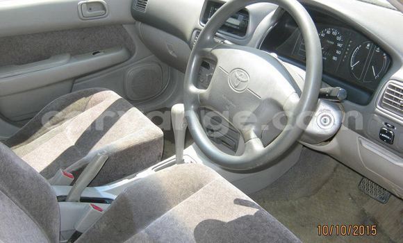 Buy Used Toyota Corolla Silver Car in Windhoek in Namibia Buy Used Toyota Corolla Silver Car in Windhoek in Namibia