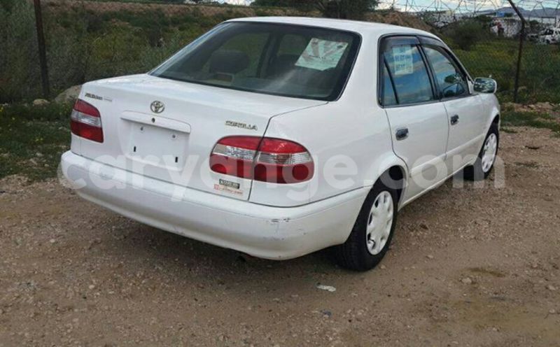 Big with watermark 17862713 986449908153278 5443398470314479661 n