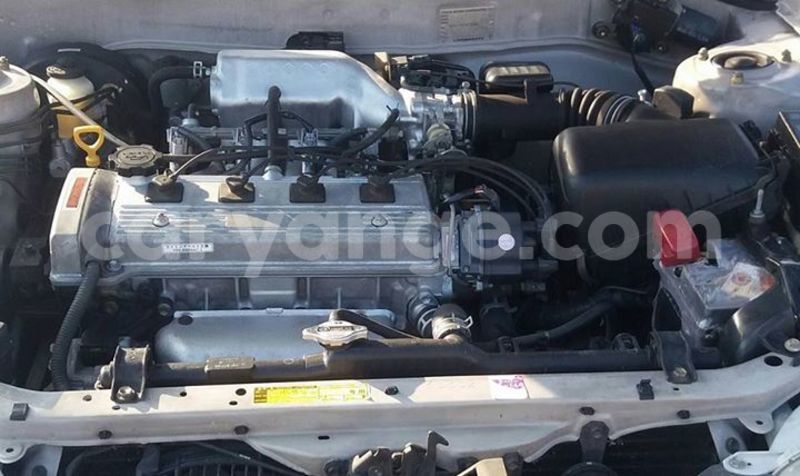 Big with watermark 17883799 986449961486606 5899850420248594718 n