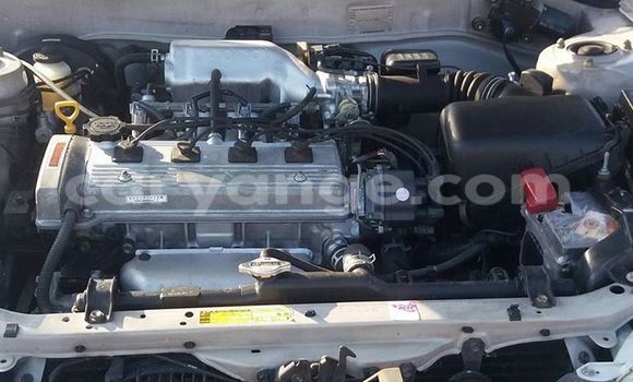 Buy Used Toyota Corolla White Car in Windhoek in Namibia Buy Used Toyota Corolla White Car in Windhoek in Namibia