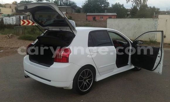 Buy Used Toyota Runx White Car in Windhoek in Namibia Buy Used Toyota Runx White Car in Windhoek in Namibia