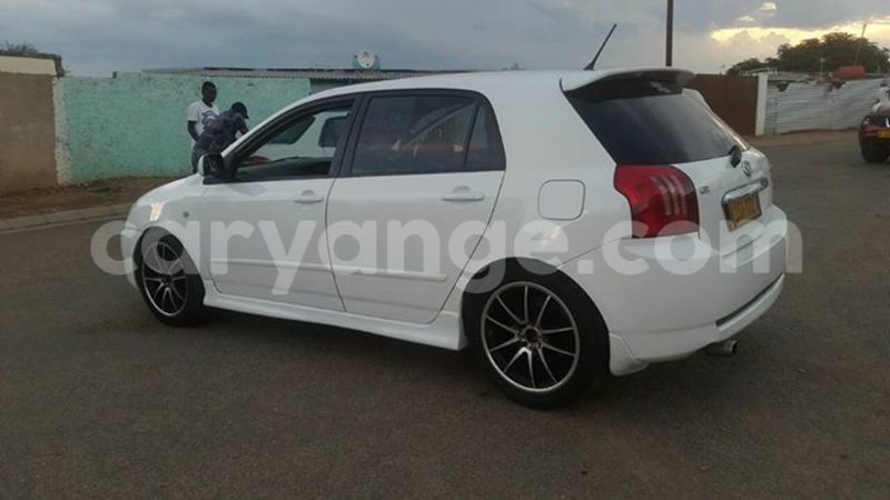 Big with watermark 17883799 986449961486606 5899850420248594718 n