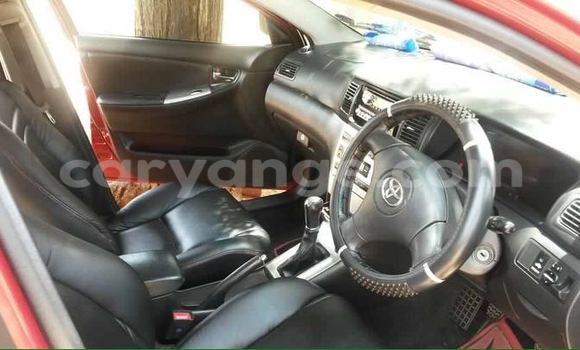 Buy Used Toyota Runx Red Car in Windhoek in Namibia Buy Used Toyota Runx Red Car in Windhoek in Namibia