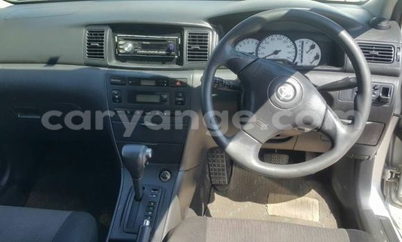 Buy Used Toyota Runx Silver Car in Windhoek in Namibia Buy Used Toyota Runx Silver Car in Windhoek in Namibia