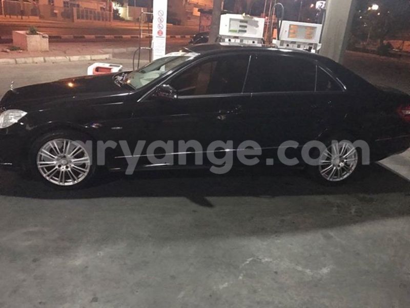 Big with watermark 17795701 10206966928850318 4670280897170890025 n