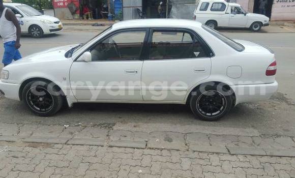 Buy Used Toyota Corolla White Car in Windhoek in Namibia Buy Used Toyota Corolla White Car in Windhoek in Namibia
