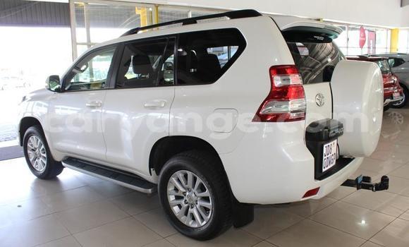 Buy Used Toyota Prado White Car in Gobabis in Omaheke Buy Used Toyota Prado White Car in Gobabis in Omaheke
