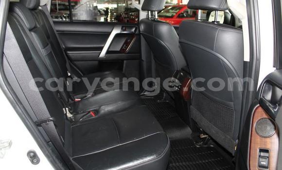 Buy Used Toyota Prado White Car in Gobabis in Omaheke Buy Used Toyota Prado White Car in Gobabis in Omaheke