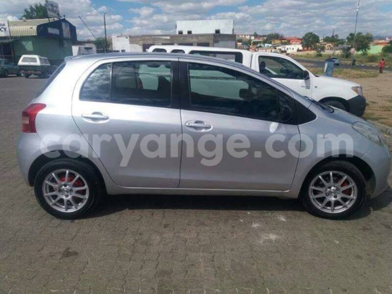 Big with watermark 17795701 10206966928850318 4670280897170890025 n