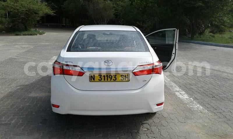 Big with watermark 17795701 10206966928850318 4670280897170890025 n