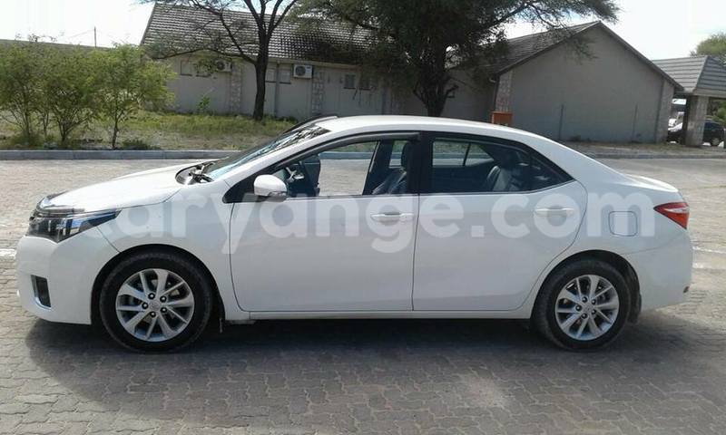 Big with watermark 17796439 1315154081906354 3590367499681648485 n