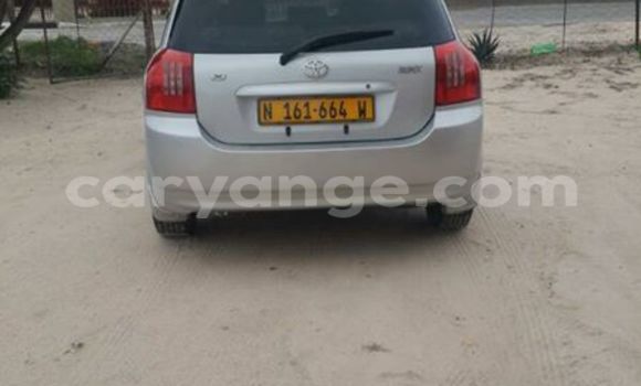 Buy Used Toyota Runx Silver Car in Windhoek in Namibia Buy Used Toyota Runx Silver Car in Windhoek in Namibia