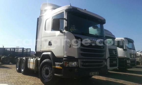 Buy Used Scania R470 White Truck in Karasburg in Karas Buy Used Scania R470 White Truck in Karasburg in Karas