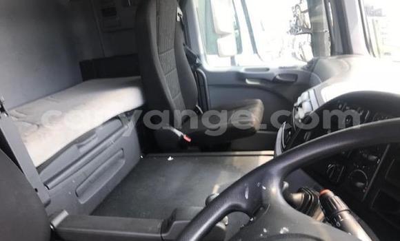 Acheter Occasion Utilitaire Mercedes‒Benz 2644 Blanc à Grootfontein, Namibie Acheter Occasion Utilitaire Mercedes‒Benz 2644 Blanc à Grootfontein, Namibie