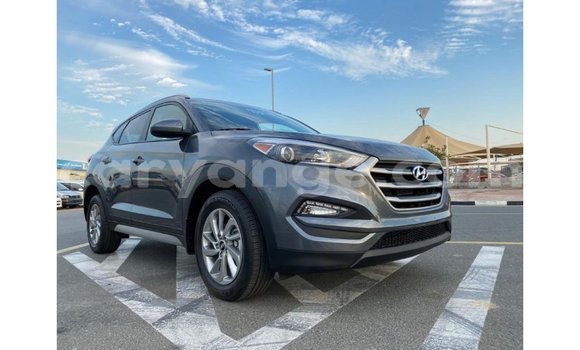 Acheter Import Voiture Hyundai Tucson Blanc à Import - Dubai, Namibie Acheter Import Voiture Hyundai Tucson Blanc à Import - Dubai, Namibie